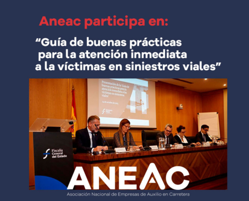 presentacion-aneac-web