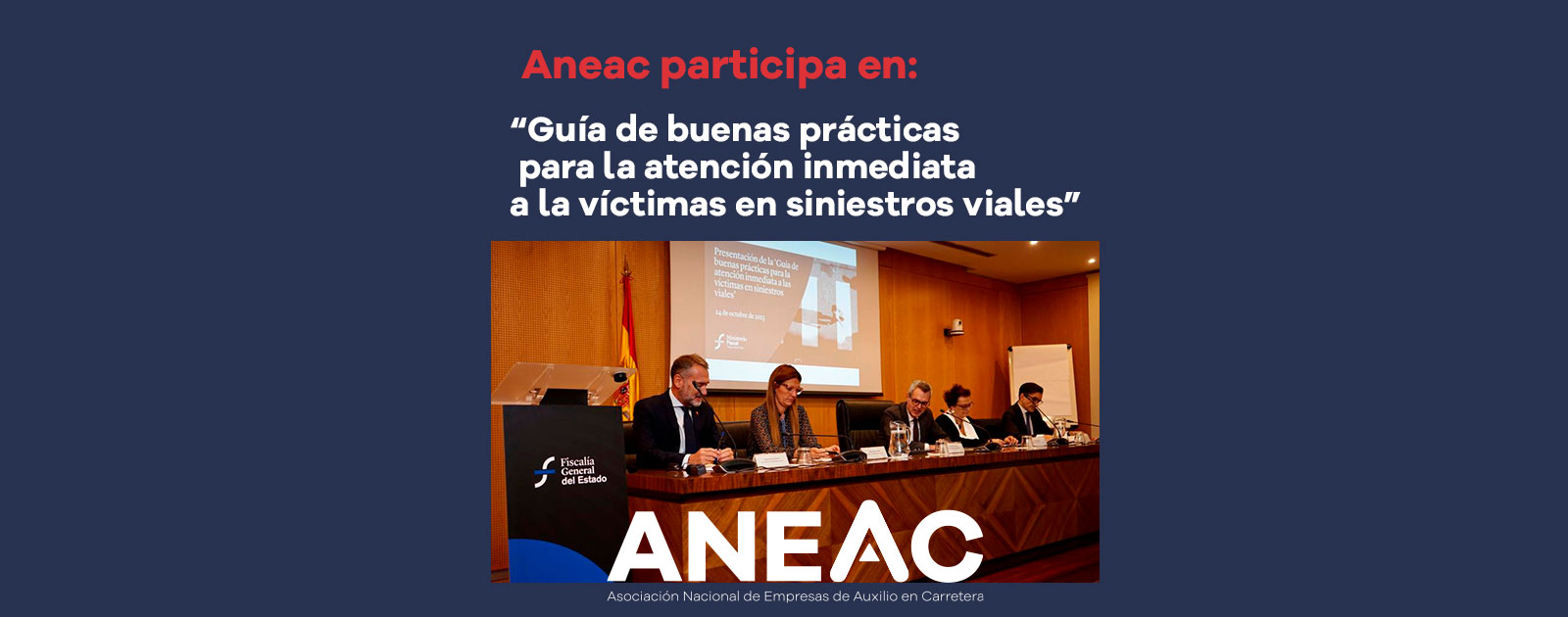 presentacion-aneac-web